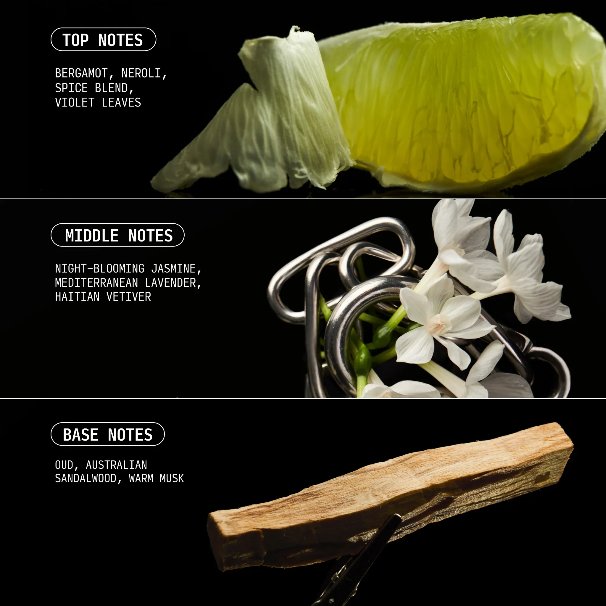 Cécred brand imagery illustrating the Temple Oud fragrance world